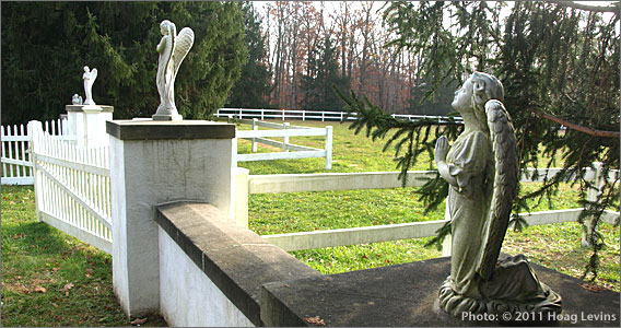 The History of Ancora Psychiatric Hospital’s Cemetery
